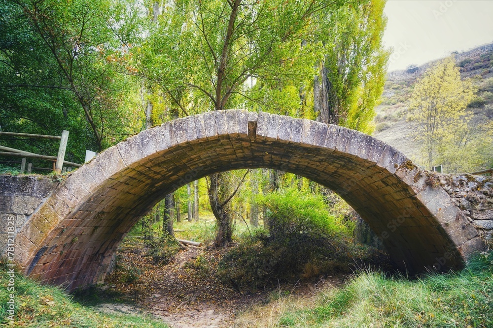 Old Puente de Talcano bridge surrounded by green and yellow autumn trees in Spain