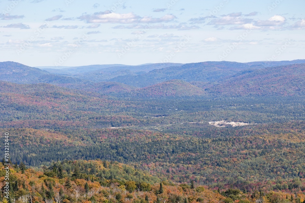Aerial view of mountain landscape with dense trees Aerial view of mountain landscape with dense trees