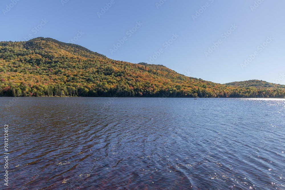 Aerial view of lake surrounded by dense trees Aerial view of lake surrounded by dense trees