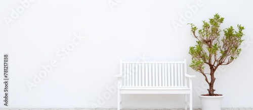 White seat beside plant and garden chair on plain backdrop
