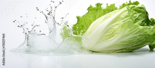 Fresh cabbage with splashin...