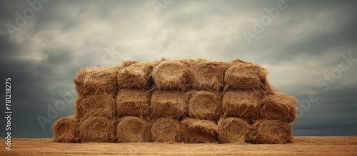 Bales of hay scattered in a...
