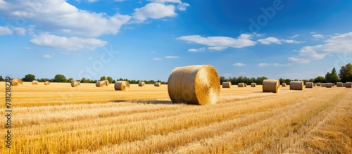 Harvested field with straw bales photo