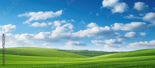 Green field under cloudy sky