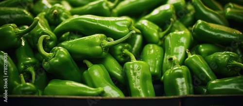 Green Peppers Box with Water Drops photo