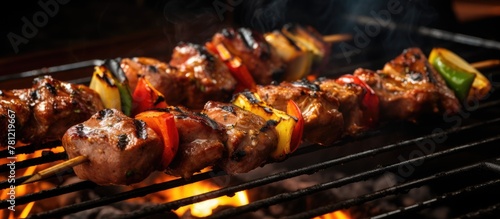 Grilled kebab with vegetabl...