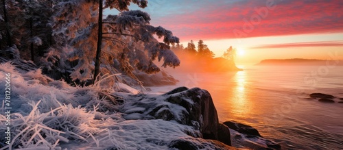 Sunset ocean snow trees