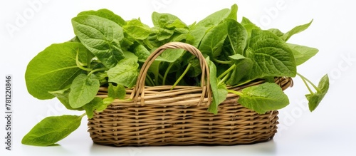 Green plants in a white basket