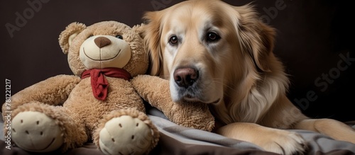 Dog lying on bed with bear