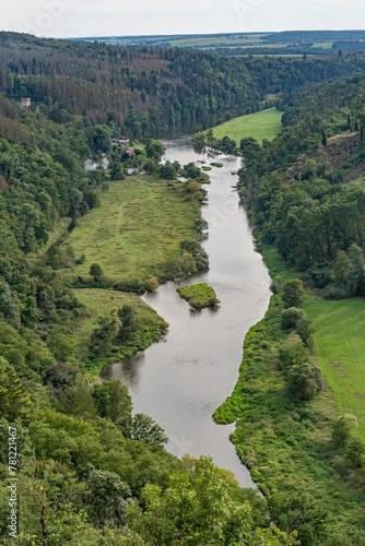 Aerial view of river surrounded by dense trees