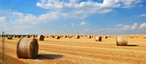 Harvested field with straw bales in summer photo
