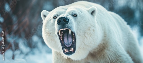 Polar bear growling fiercely in snowy landscape