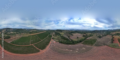 Aerial panoramic shot of plantation land and a skyline