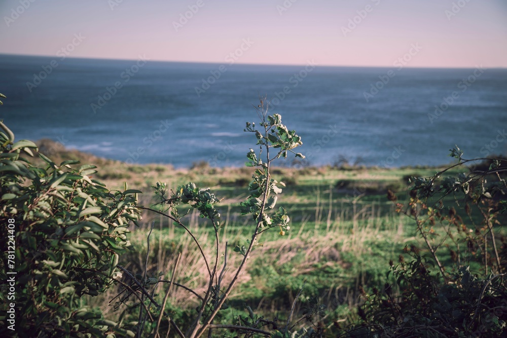 Natural landscape of a sea under a pink sky Natural landscape of a sea under a pink sky