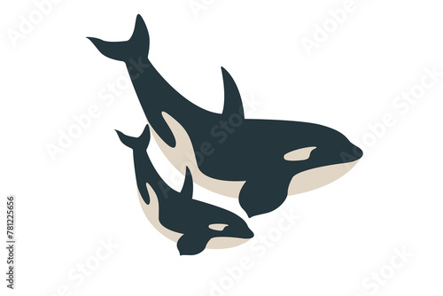 Vector flat illustration isolated on white background, sea animals illustration, vector flat big killer whale with a baby whale, marine life