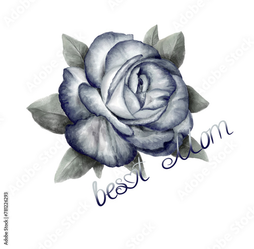 Gray rose with leaves isolated. Best Mom.