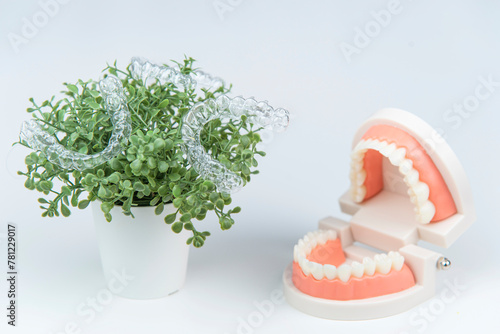Plastic dental braces for straightening teeth hanging on green leaves of houseplant near human jaw mockup