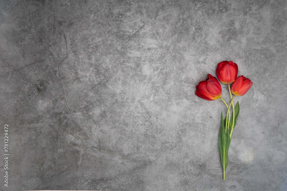 red tulips on gray cement background minimalism top view, easter decor, spring. High quality photo