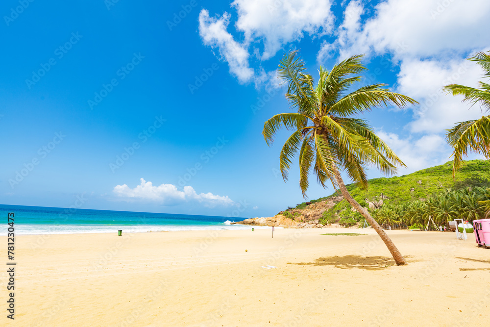 Coconut tree style on summer beach at Daidai Island, Lingshui, Hainan, China Coconut tree style on summer beach at Daidai Island, Lingshui, Hainan, China