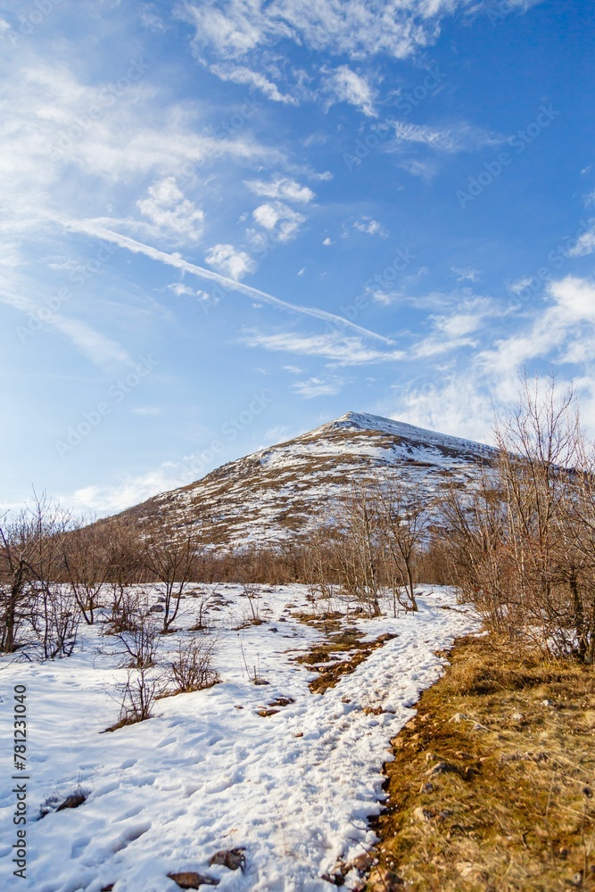 Vertical shot of snowy plains,dry shrubs and the mountain hill in the background on sunny winter day