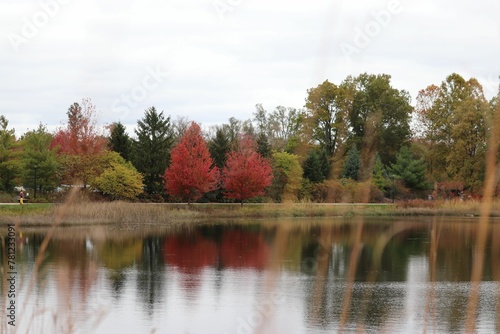 Autumn view of a lake reflecting the surrounding colorful trees and the sky