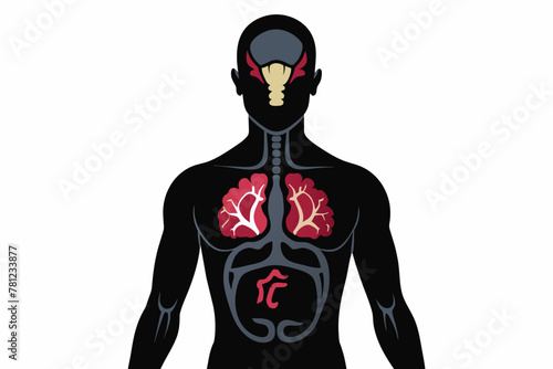 dark silhouette of a man with internal organs and brain vector illustration