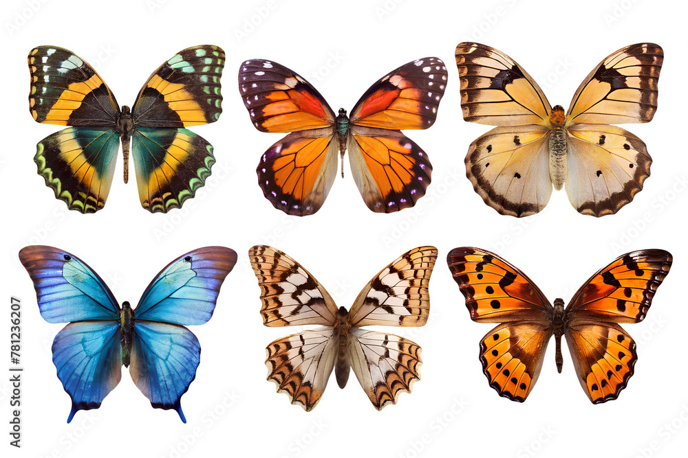 set of butterflies isolated on transparent background set of butterflies isolated on transparent background
