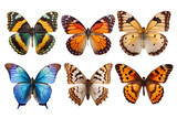 set of butterflies isolated on transparent background 