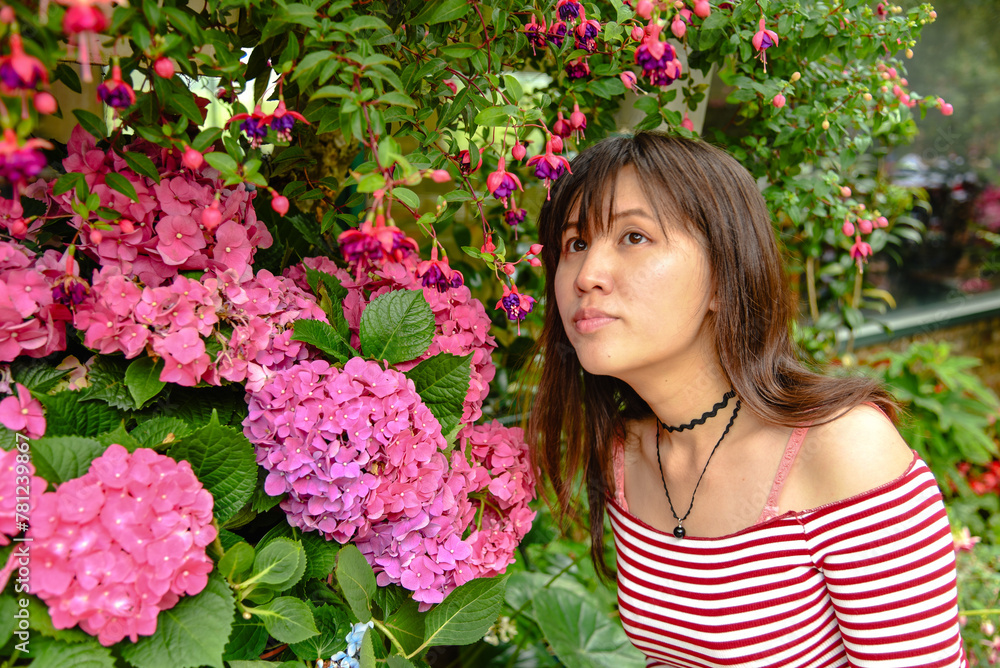 Fototapeta premium Taiwan May 16, 2018: Taiwanese June blooming hydrangeas and a young Asian girl in the garden
