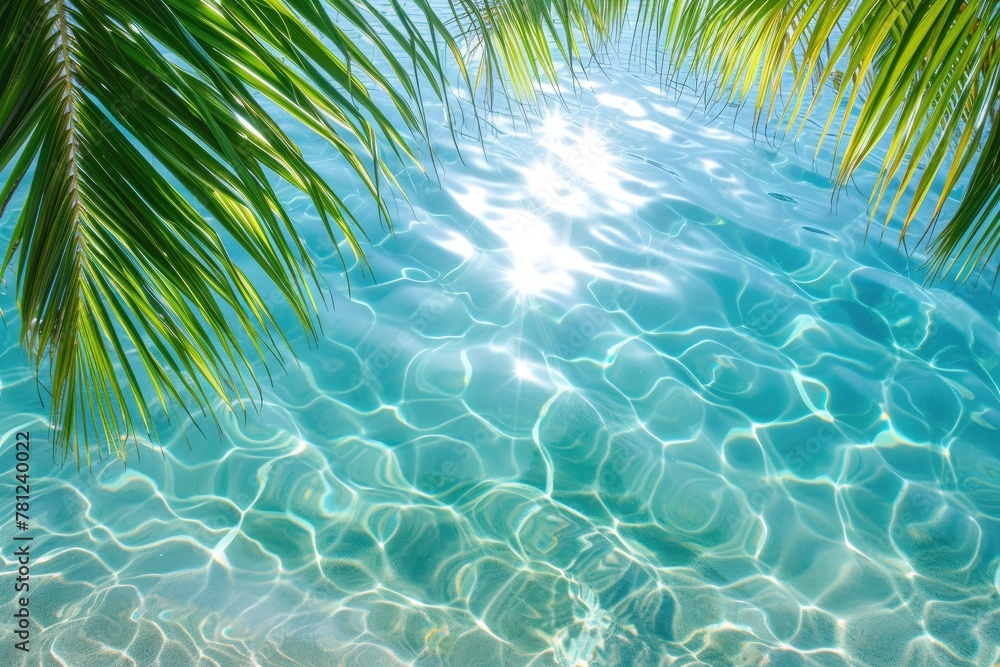 Serenity Found: Azure Waters and Palm Canopies Serenity Found: Azure Waters and Palm Canopies