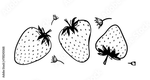 Doodle strawberry vector illustration. Black hand drawn abstract fruit with leaves. Sketch berry drawing