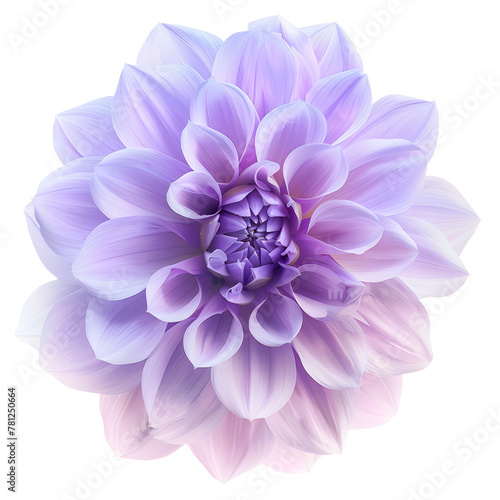 purple dahlia flower isolated on transparent background. Ai generated 