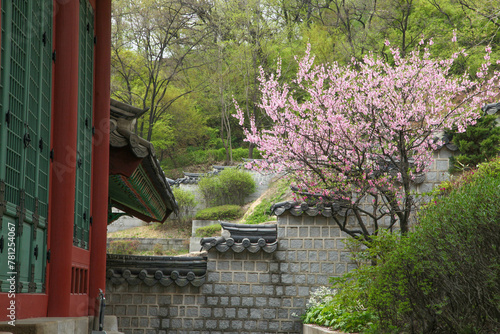 Spring at Gyeonghui Palace in Seoul Korea photo