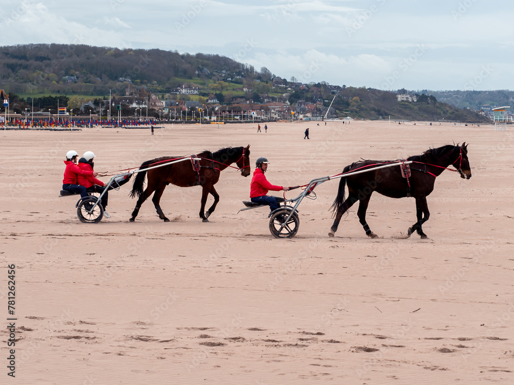 Deauville, France April 5, 2023. Race horses on the beach during training, two horses with jokes. In the background, green hills with houses in Deauville Normandy Deauville, France April 5, 2023. Race horses on the beach during training, two horses with jokes. In the background, green hills with houses in Deauville Normandy