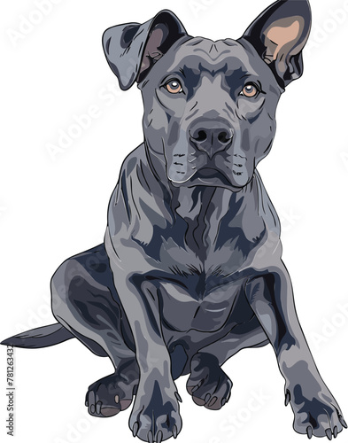 Thai Ridgeback adorable art vector illustration	
 photo