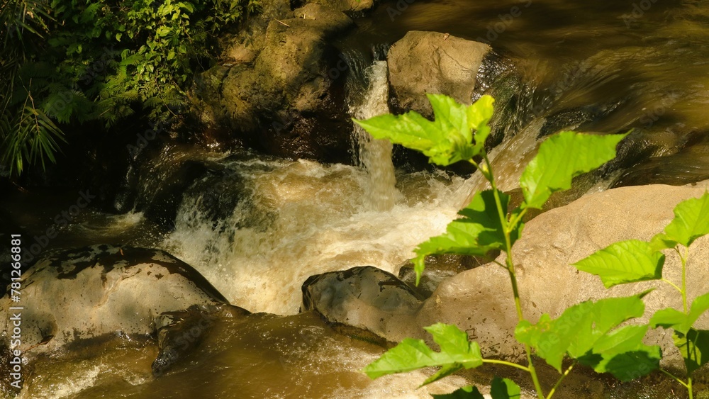 Obraz premium Water flowing in the rocky river, fresh lasndscape for healing