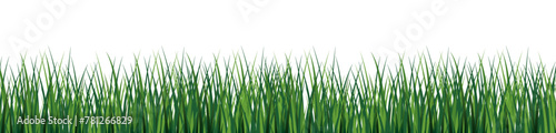 Grass green silhouette vector background . Vector illustration