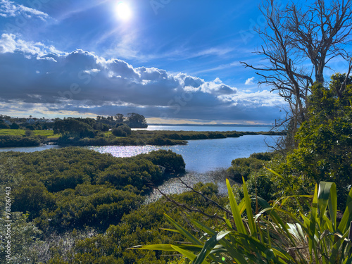 Auckland, New Zealand. Meola Reef - Te Tokaroa and Point Chevalier, viewed from the Westmere peninsula coastal walkway. Mangroves in a tidal estuary.