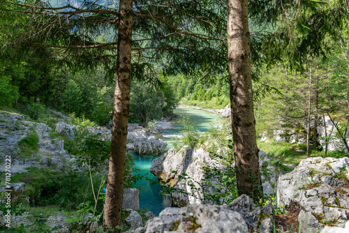 türkiser Soca (Isonzo) Fluss im Triglav Nationalpark in Slowenien, schlängelt sich durch Wald