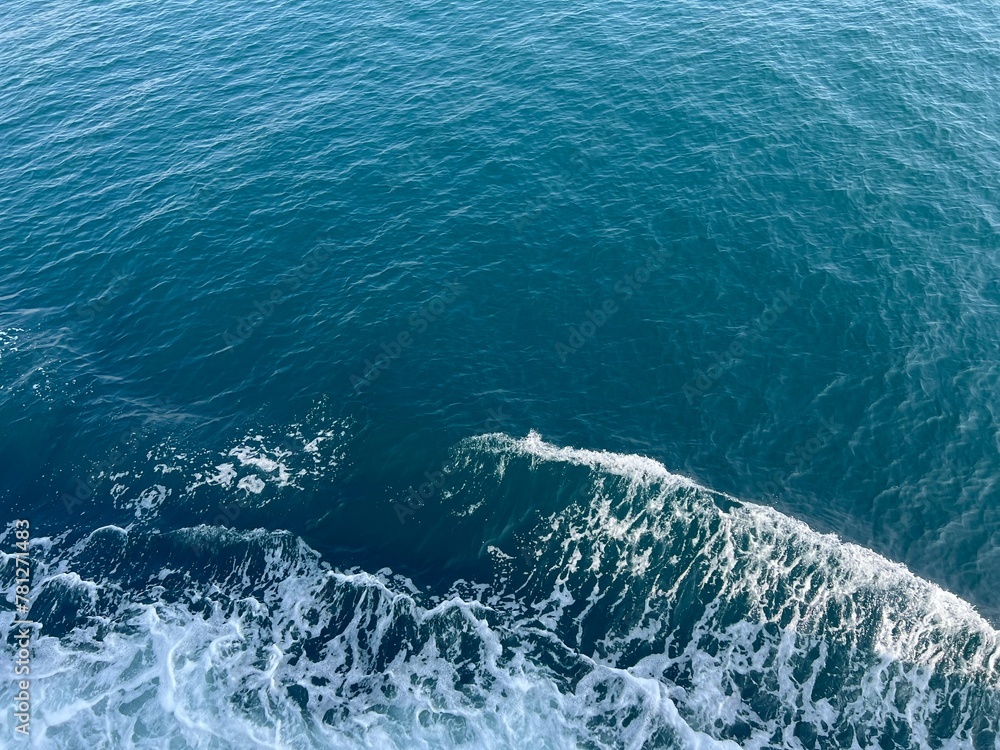 Fototapeta premium dolphins in the sea