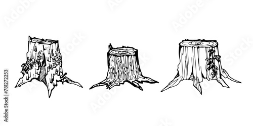 Stumps set. Hand drawn vector illustration isolated on white background