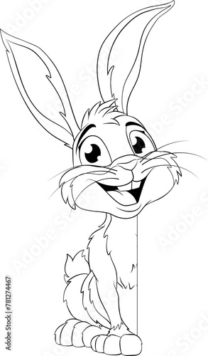 Easter Bunny Rabbit Peeking...