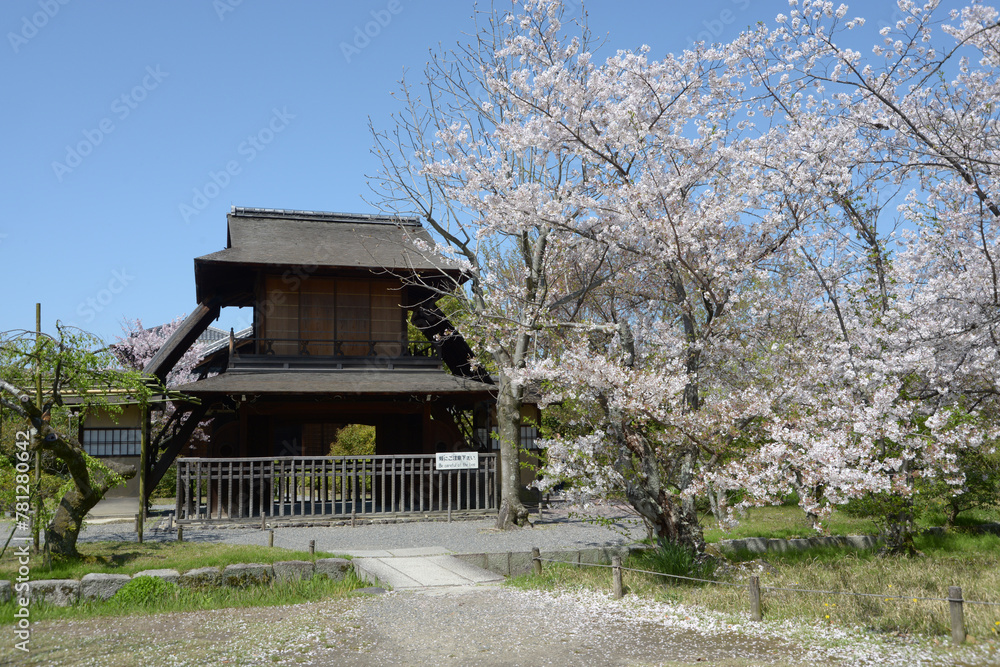 春の枳殻邸　傍花閣　京都市下京区