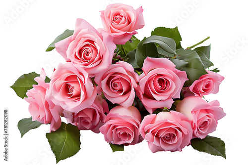 Set of pink roses leaf floral single plant on transparent background. Valentine s day. Mock up template product presentation. artwork design