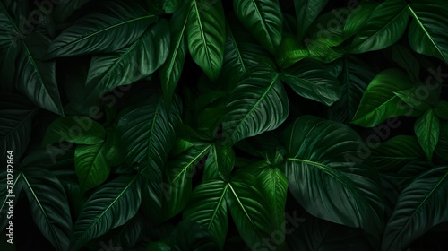 Dark and moody interpretation of green foliage, creating an intimate texture of leaves with soft lighting