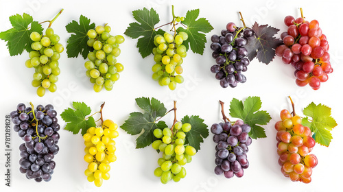 Set of fresh grapes isolated on a white background, top view, presenting a luxurious spread of plump grapes, capturing the lush variety of hues from deep purple to green. This composition elegantly