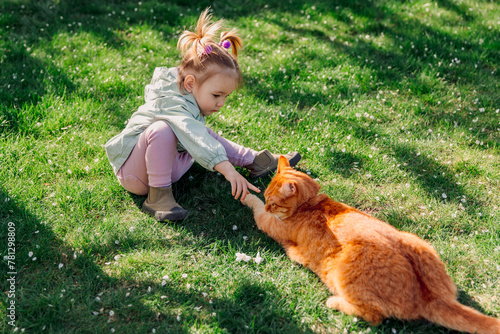 Child girl playing with ginger cat in backyard garden on sunny day © artifirsov