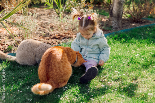 Cute child girl feed cats in spring backyard garden