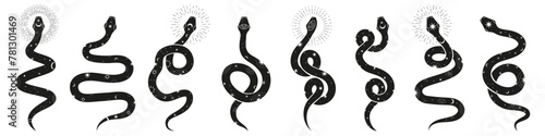 Mystic snake. Magical snake symbols.