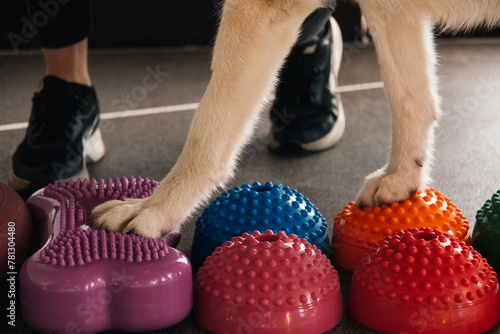 husky feet on physiotherapy tools